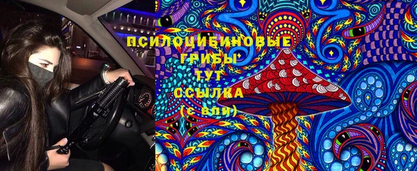 бошки Алзамай