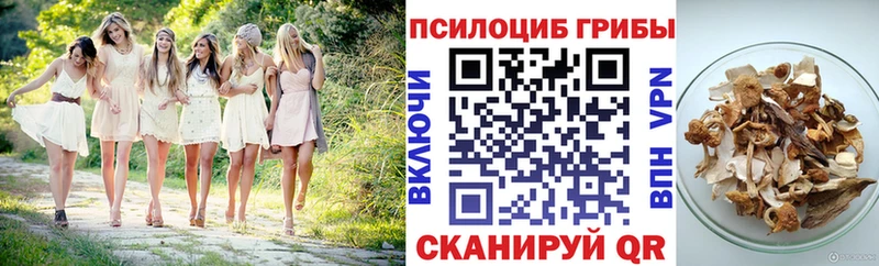 Галлюциногенные грибы Psilocybe  закладки  Лагань 